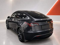Tesla Model Y Rear-Wheel Drive - ფოტო 4