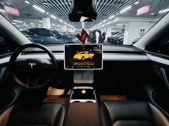 Tesla Model Y Rear-Wheel Drive - ფოტო 8