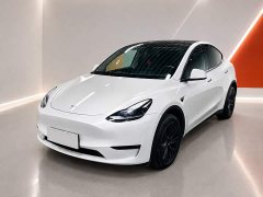 Tesla Model Y Long Range All-Wheel Drive - ფოტო 1