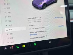 Tesla Model Y Long Range All-Wheel Drive - ფოტო 10