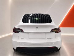 Tesla Model Y Long Range All-Wheel Drive - ფოტო 5