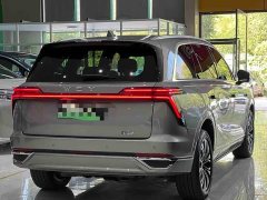 Great Wall WEY Blue Mountain Four-Wheel Drive Extended Range Version - ფოტო 6