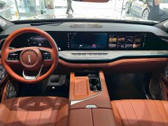Great Wall WEY Blue Mountain Four-Wheel Drive Extended Range Version - ფოტო 9