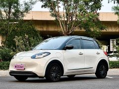 Wuling Binguo 333km Joy Edition - ფოტო 1