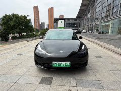 Tesla Model 3 Standard Range RWD Upgrade - ფოტო 1