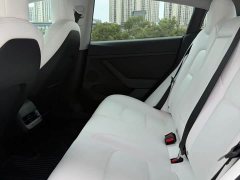 Tesla Model 3 Standard Range RWD Upgrade - ფოტო 9