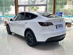 Tesla Model Y Long Range All-Wheel Drive - ფოტო 8