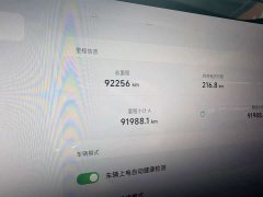 XPeng P7 586E - ფოტო 9
