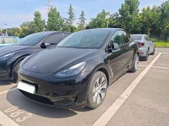 Tesla Model Y Standard Range RWD - ფოტო 1