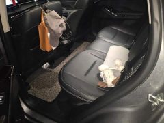 Haval H6 Third Generation 2.0T Automatic Two-Wheel Drive Max - ფოტო 11
