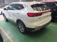 Haval H6 2021 National Trend 1.5GDIT Automatic Champion Edition - ფოტო 6