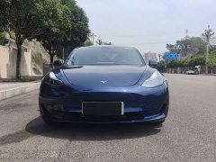 Tesla Model 3 Rear-Wheel Drive - ფოტო 2