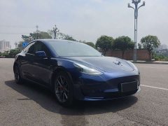 Tesla Model 3 Rear-Wheel Drive - ფოტო 3