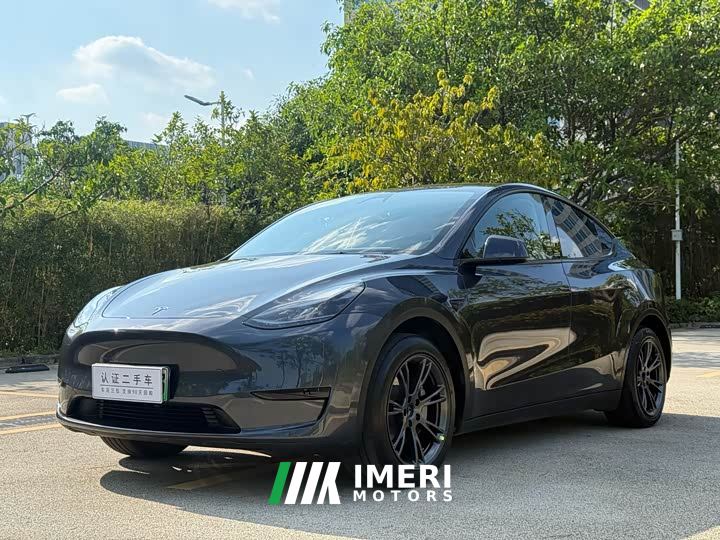Tesla Model Y Rear-Wheel Drive
