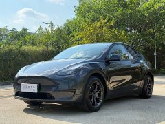Tesla Model Y Rear-Wheel Drive - ფოტო 1
