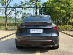 Tesla Model Y Rear-Wheel Drive - ფოტო 10