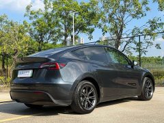Tesla Model Y Rear-Wheel Drive - ფოტო 11