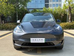 Tesla Model Y Rear-Wheel Drive - ფოტო 2