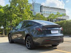 Tesla Model Y Rear-Wheel Drive - ფოტო 9