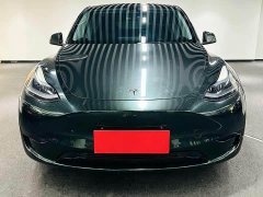 Tesla Model Y Rear-Wheel Drive - photo 2