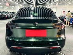 Tesla Model Y Rear-Wheel Drive - photo 5