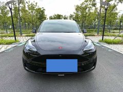 Tesla Model Y 2022 Facelift Rear-Wheel Drive - ფოტო 1