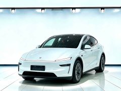 Tesla Model Y L Long Range All-Wheel Drive - ფოტო 1