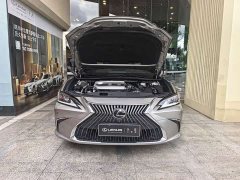 Lexus ES 2020 200 Excellence Edition - ფოტო 6