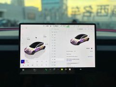 Tesla Model 3 2023 Rear-Wheel Drive - ფოტო 7