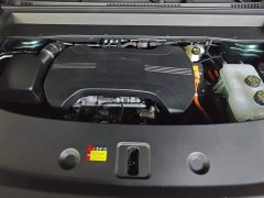 Wuling Starlight L 260km Six-Seat Flagship - ფოტო 10