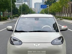 Wuling Binguo 203km Comfort Edition - ფოტო 8