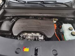 Wuling Starlight L 260km Six-Seat Premium Edition - ფოტო 10
