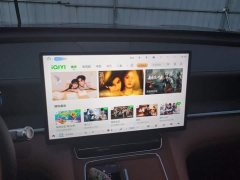 Wuling Starlight L 260km Six-Seat Premium Edition - ფოტო 13