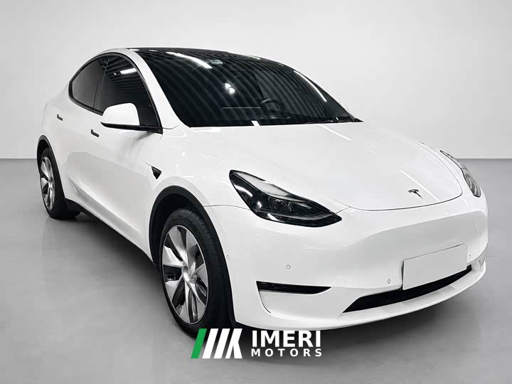 Tesla Model Y Standard Range RWD - ავტომობილი ჩინეთიდან