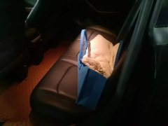 Tesla Model Y Long Range All-Wheel Drive 3D7 - ფოტო 11
