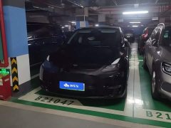 Tesla Model Y Long Range All-Wheel Drive 3D7 - ფოტო 2