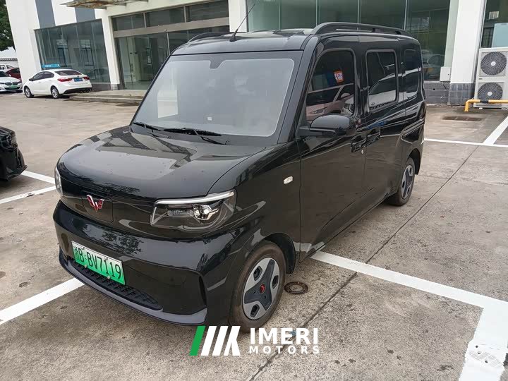 Wuling Zhiguang New Energy 305km Aspiring Edition