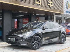 Tesla Model Y 2023 Rear-Wheel Drive - ფოტო 1