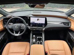 Lexus RX 350h AWD Premium Edition - ფოტო 18