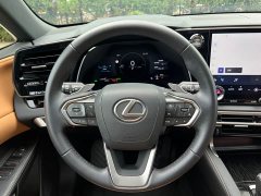 Lexus RX 350h AWD Premium Edition - ფოტო 19