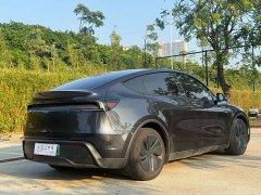Tesla Model Y Rear-Wheel Drive - ფოტო 11