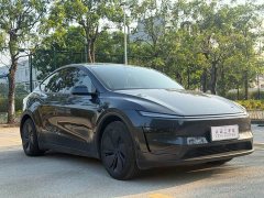 Tesla Model Y Rear-Wheel Drive - ფოტო 3
