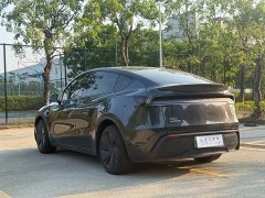 Tesla Model Y Rear-Wheel Drive - ფოტო 9