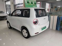 Changan Lumin Treasure Edition 205km Pure Love Rice Guoxuan - ფოტო 15