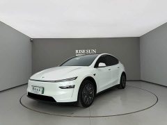 Tesla Model Y L Long Range All-Wheel Drive - ფოტო 1