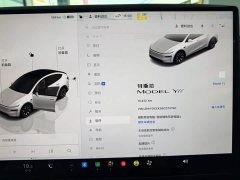 Tesla Model Y L Long Range All-Wheel Drive - ფოტო 9