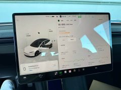 Tesla Model 3 Rear-Wheel Drive - ფოტო 5