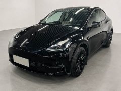 Tesla Model Y Standard Range RWD - ფოტო 1