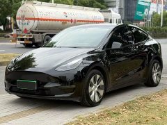 Tesla Model Y Long Range All-Wheel Drive - ფოტო 1