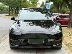 Tesla Model Y Long Range All-Wheel Drive - ფოტო 2